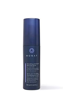 Smoothing anti frizz blow out spray sc free