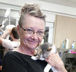 35b4d04f e67b 42c2 a732 f6c746336d43